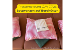 Alpenverein informiert: Bettwanzen und deren Bekämpfung