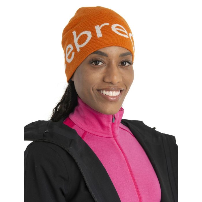 Icebreaker best sale beanie hat