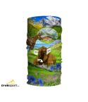 2110002043375_20684_1_original_auf_der_alm_78915137.jpg