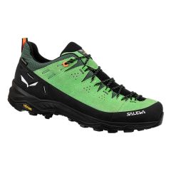 2620589700009_23725_1_herren_alp_trainer_2_gtx_pale_frogblack_85ad5447.jpg