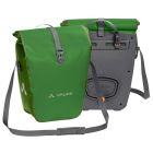 Aqua Back parrot green, Paar