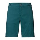 Neyland Shorts Herren, mallard green