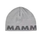 Mammut Logo Beanie platinum-alloy