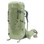 Aircontact Core 55+10 SL grove-ivy