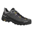 Mens Alp Trainer 2 GTX oxyn/black