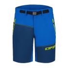 Men´s Delphos Stretch Shorts, kingsblue