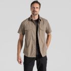 Me Kiwi SS Shirt         pebble