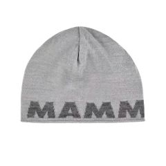 2110002070890_27228_1_mammut_logo_beanie_platinum-alloy_60ee5707.jpg