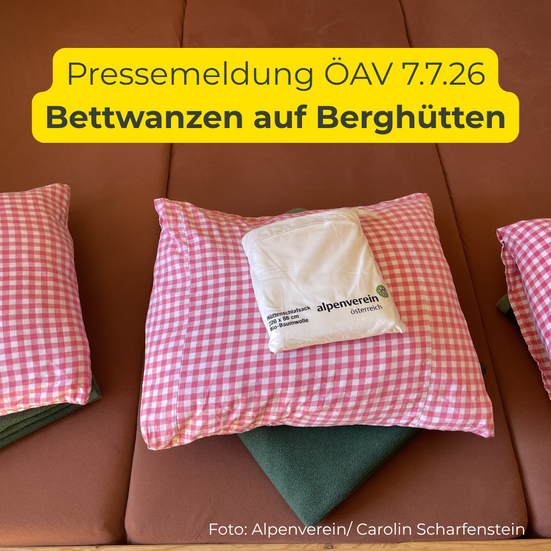 _av-informationskampagne-bettwanzen_1